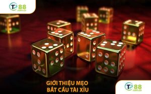 Giới Thiệu Mẹo Bắt Cầu Tài Xỉu