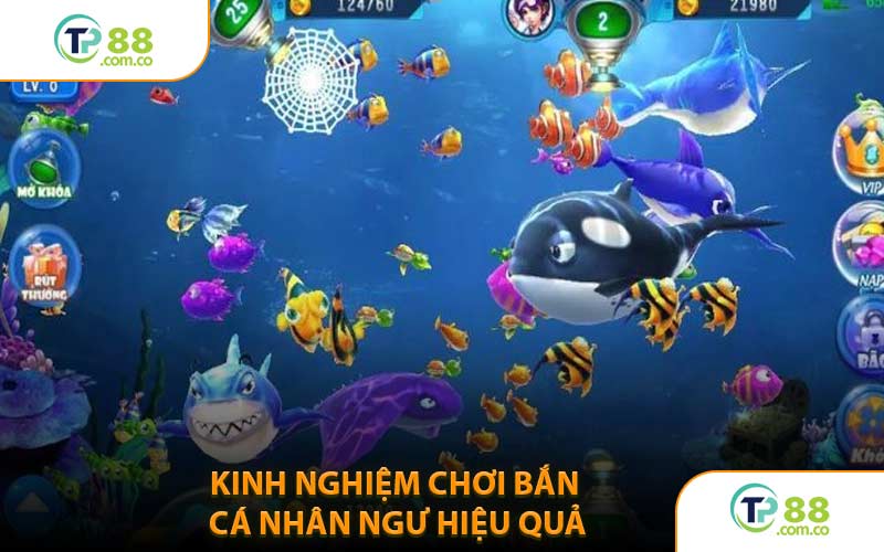 Kinh Nghiệm Chơi Bắn Cá Nhân Ngư Hiệu Quả