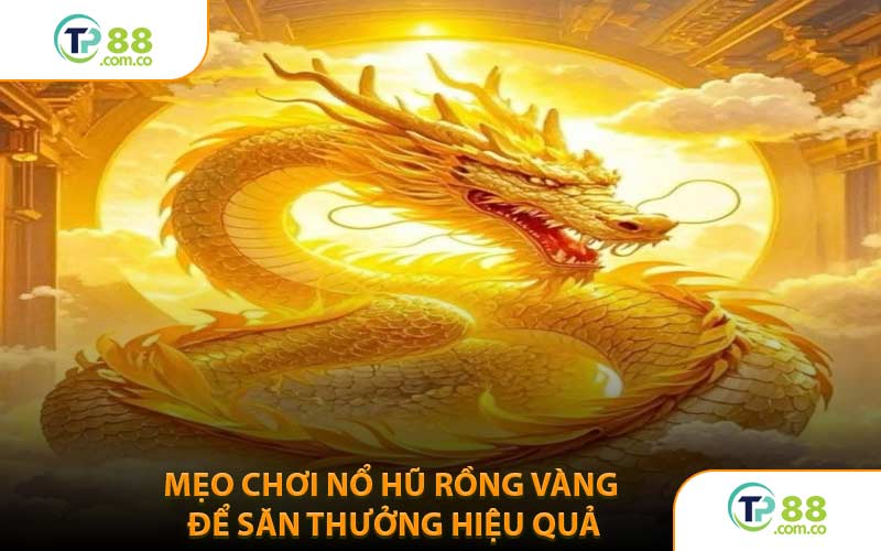 Mẹo Chơi Nổ Hũ Rồng Vàng Để Săn Thưởng Hiệu Quả