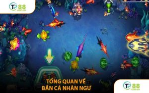 Tổng Quan Về Bắn Cá Nhân Ngư