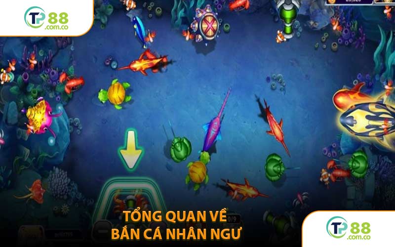 Tổng Quan Về Bắn Cá Nhân Ngư